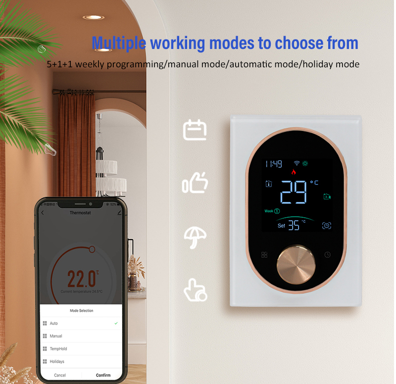 Programmable Thermostat